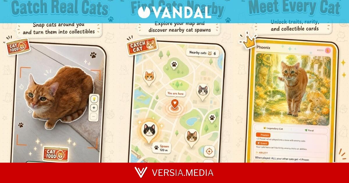 Es como Pokémon GO pero 'cazando' gatos reales que encuentres por la calle: así es el nuevo CatchCat